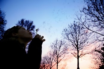 Free Photo of girl, woman, female