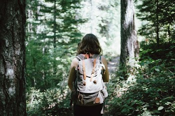 Free Photo of girl, woman, hiking