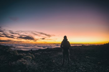 Free Photo of girl, woman, people