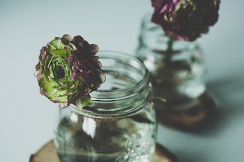 Free Photo of glass, jar, water