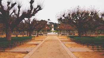 Free Photo of Golden Gate Park, San Francisco, California