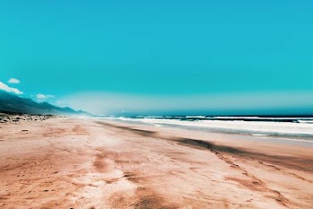 Free Photo of golden, sand, beach