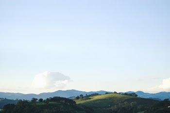 Free Photo of grass, fields, hills