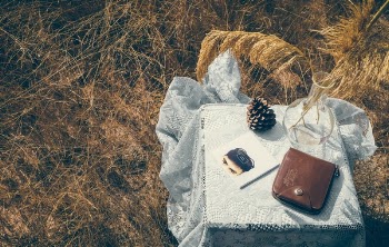 Free Photo of grass, nature, outdoor