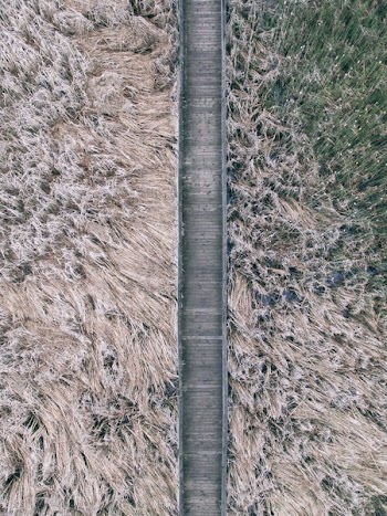 Free Photo of grass, outdoor, aerial