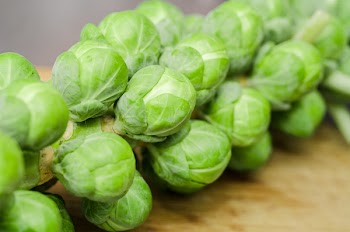 Free Photo of green, brussels sprouts, vegetables