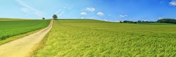 Free Photo of green, farm, field