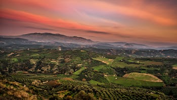 Free Photo of green, fields, landscape