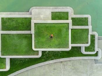Free Photo of green, grass, field