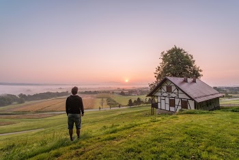 Free Photo of green, grass, fields