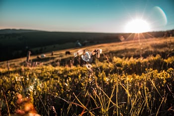 Free Photo of green, grass, grassland