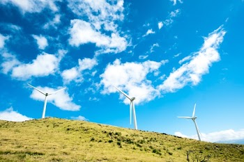 Free Photo of green, grass, grassland