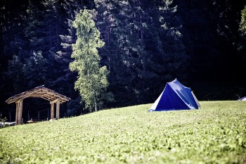Free Photo of green, grass, highland
