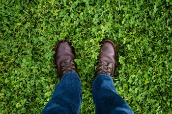Free Photo of green, grass, jeans