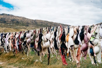 Free Photo of green, grass, laundry