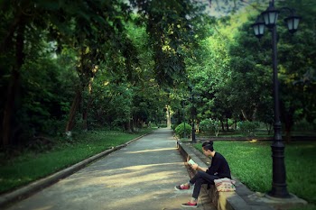 Free Photo of green, grass, lawn