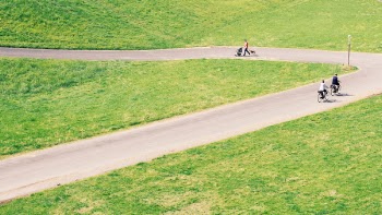 Free Photo of green, grass, lawn