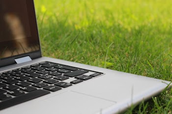 Free Photo of green, grass, outdoor