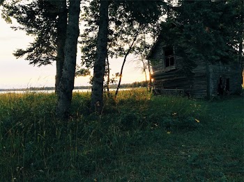 Free Photo of green, grass, rural