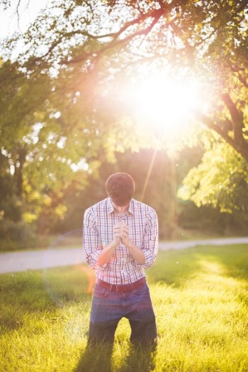 Free Photo of green, grass, trees