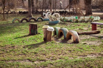 Free Photo of green, grass, wood