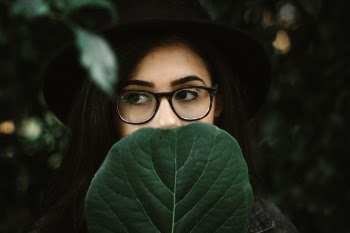 Free Photo of green, leaf, plant