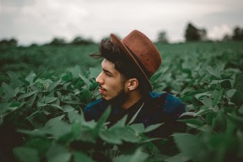 Free Photo of green, leaf, plant