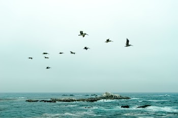 Free Photo of green, ocean, sky