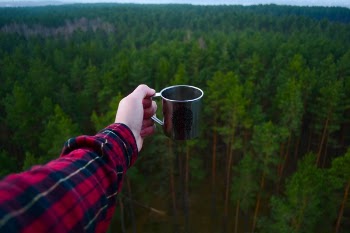 Free Photo of green, plant, nature