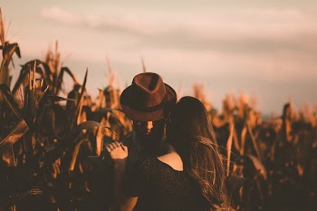 Free Photo of green, plants, nature