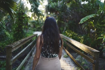 Free Photo of green, plants, nature