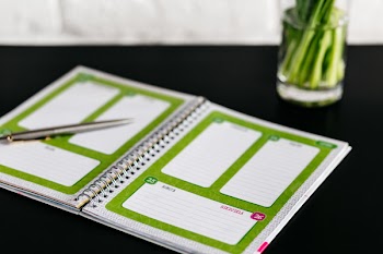 Free Photo of green, vase, interior