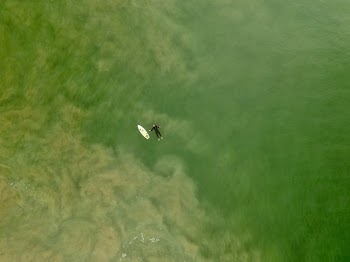 Free Photo of green, water, people