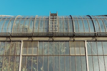 Free Photo of greenhouse, plants, industrial