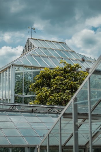 Free Photo of greenhouse, plants, nature
