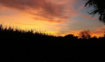 Free Photo of Grevenbrück, sunrise, sun