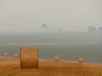 Free Photo of grey, sky, farm