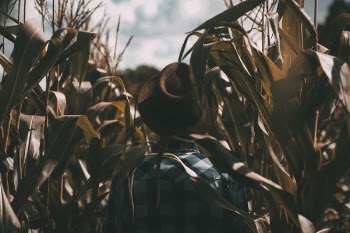 Free Photo of guy, man, male