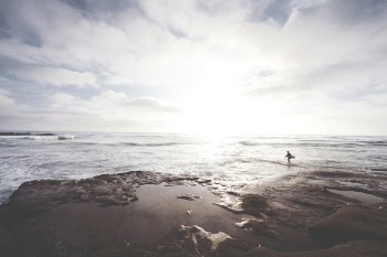 Free Photo of guy, man, male