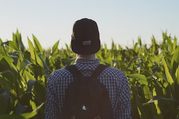 Free Photo of guy, man, male