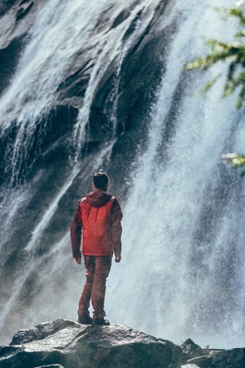 Free Photo of guy, man, male