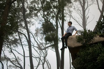 Free Photo of guy, man, male