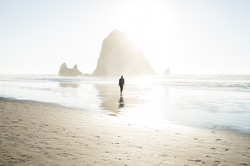Free Photo of guy, man, male