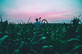 Free Photo of guy, people, bike