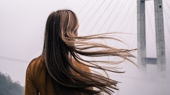 Free Photo of hair, people, woman