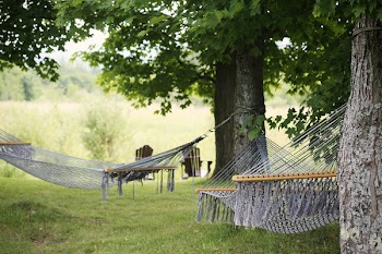 Free Photo of hammocks, trees, leaves