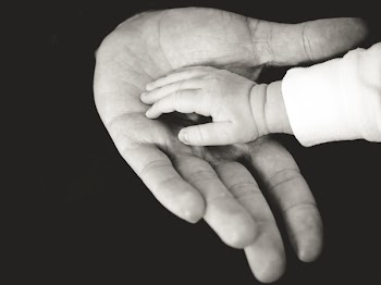 Free Photo of hands, baby, child