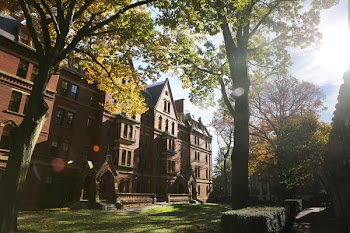 Free Photo of harbad, university, boston