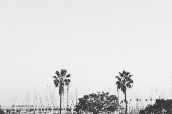 Free Photo of harbor, boats, sailboats