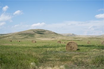 Free Photo of hay, bales, grass